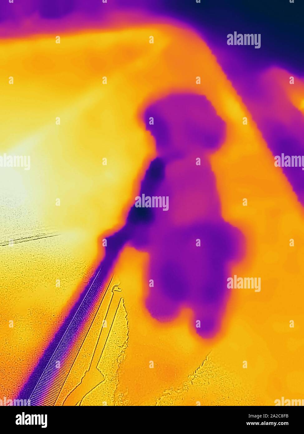 Wärmebild der Wärmebildkamera mit Lichtbereichen, die höheren Temperaturen entsprechen und einen Haushund zeigen, der in der Mittagssonne auf einem heißen Betonstreifen auf dem Bürgersteig zu Fuß geführt wird. Dies zeigt das Verletzungsrisiko für Haustiere durch heiße Straßenbeläge, San Ramon, Kalifornien, 2. September 2019. () Stockfoto