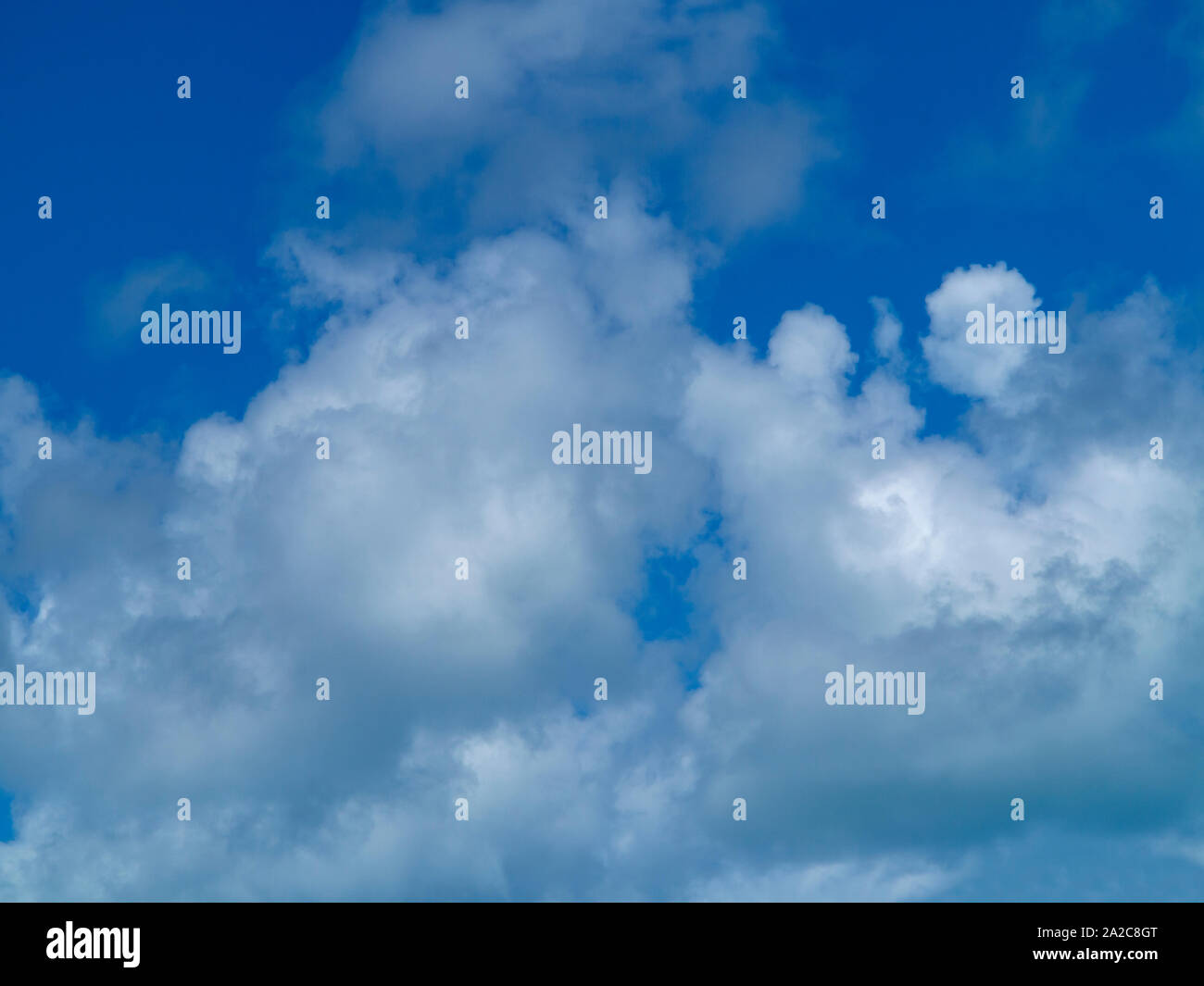 Weißen flauschigen tropischen Wolken vor blauem Himmel, Bermuda Stockfoto