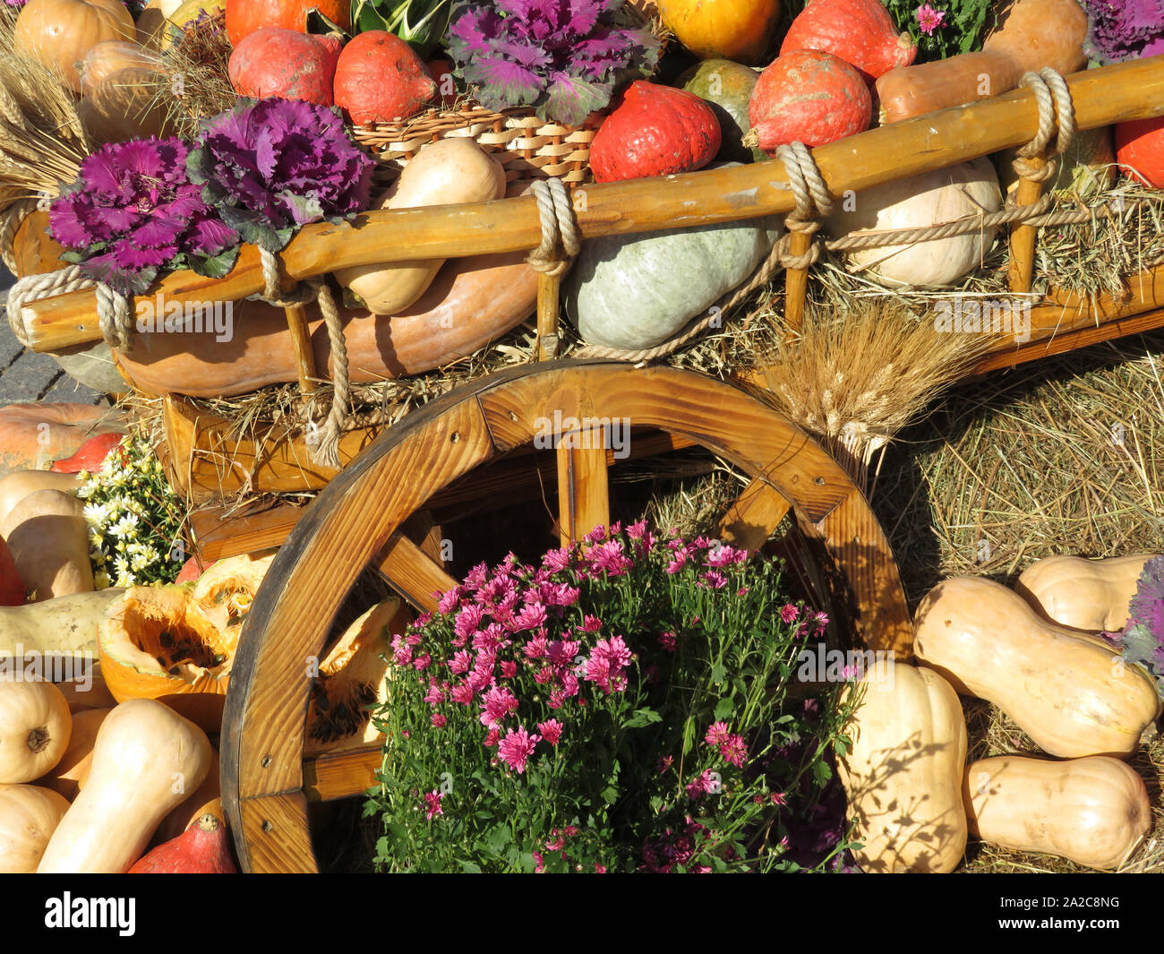 Thanksgiving Day, Holz- Warenkorb mit Kürbissen und Gemüse auf einem Heu. Herbst Ernte Urlaub, festliche Dekorationen mit Blumen Stockfoto