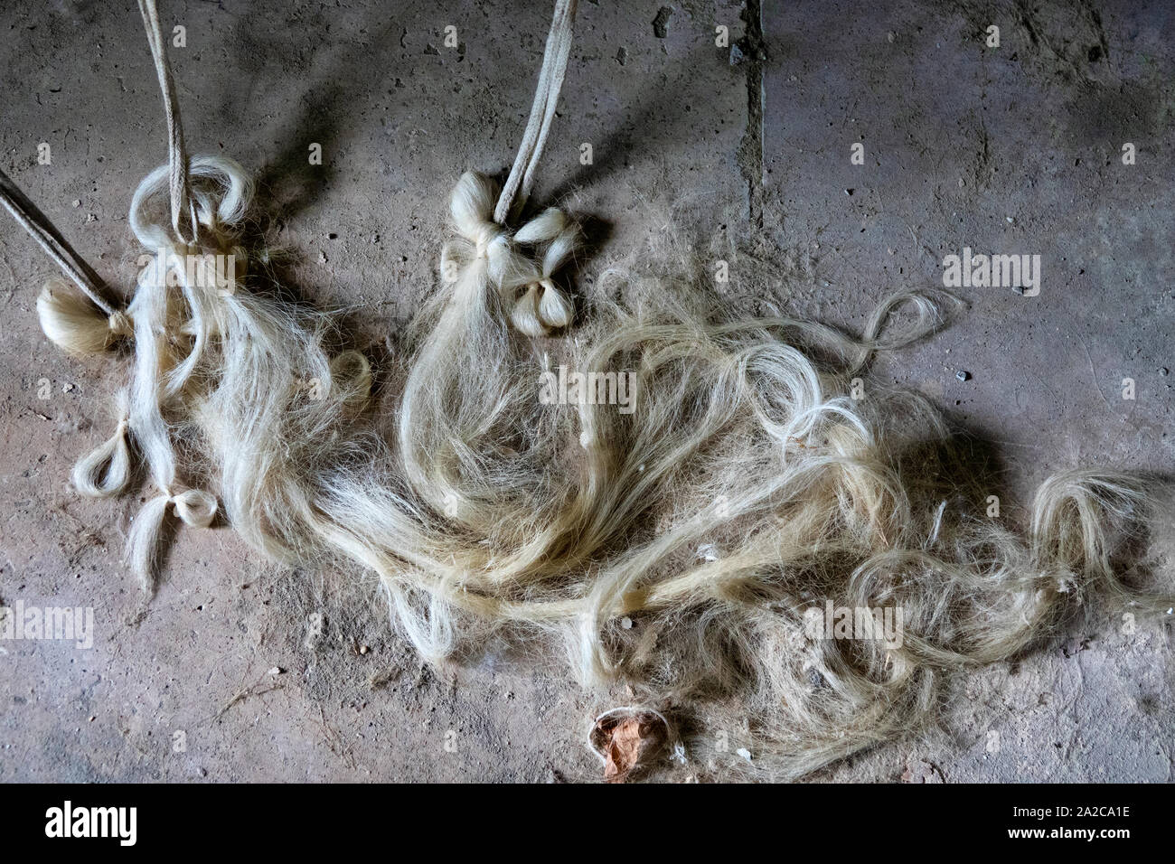Seide in verlassenen sowjetischen Weberei in Basqal, Aserbaidschan Stockfoto