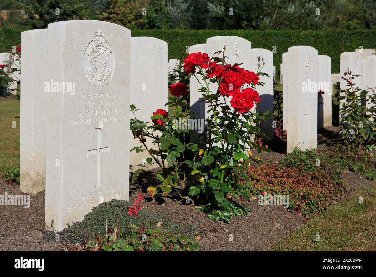 Grab von rifleman J. W. Sloan von der Royal Irish Fusiliers an der Ploegsteert Denkmal für die Fehlende in Comines-Warneton, Belgien Stockfoto