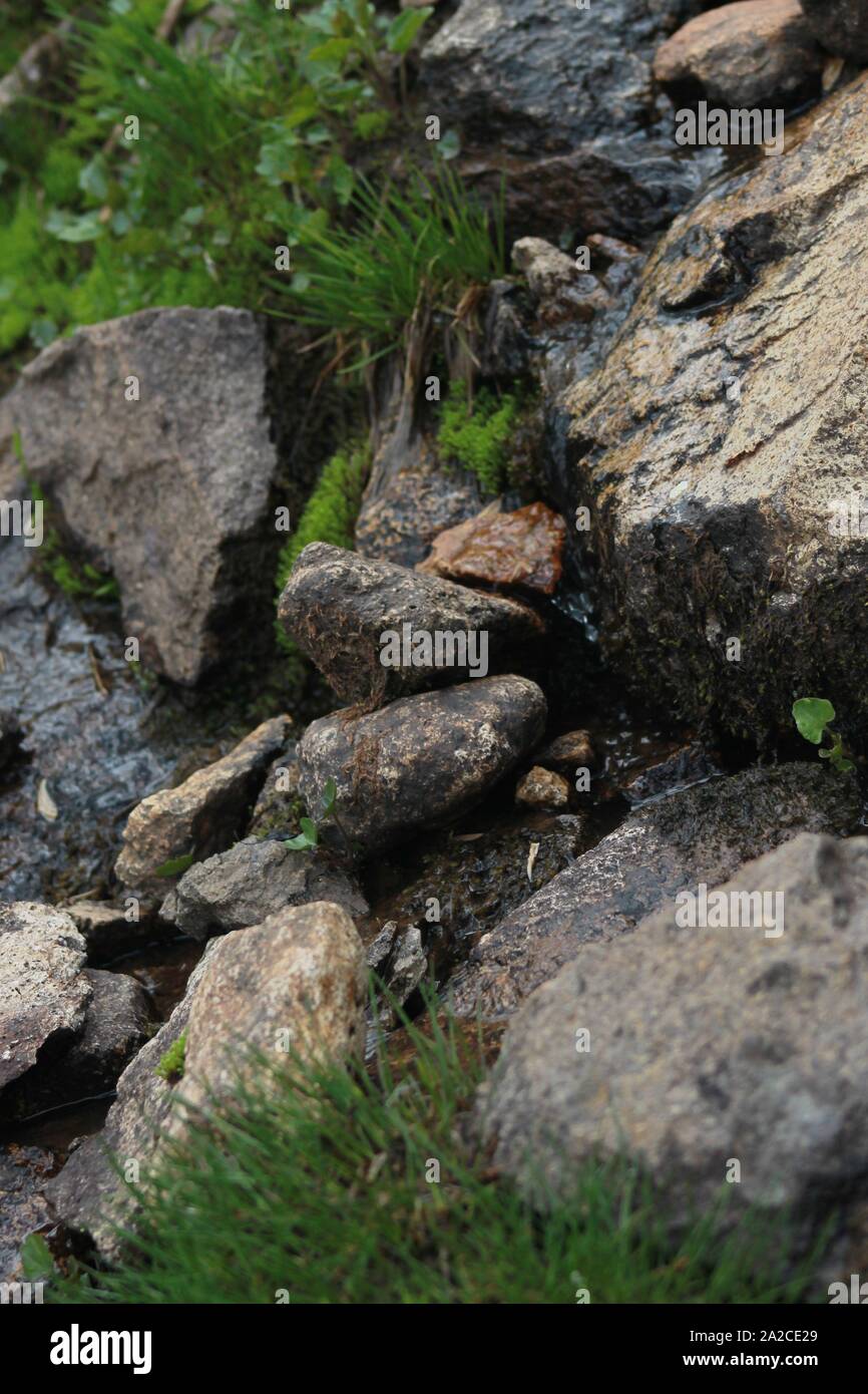 Felsige Oberfläche auf Colorado Mountain Top Stockfoto