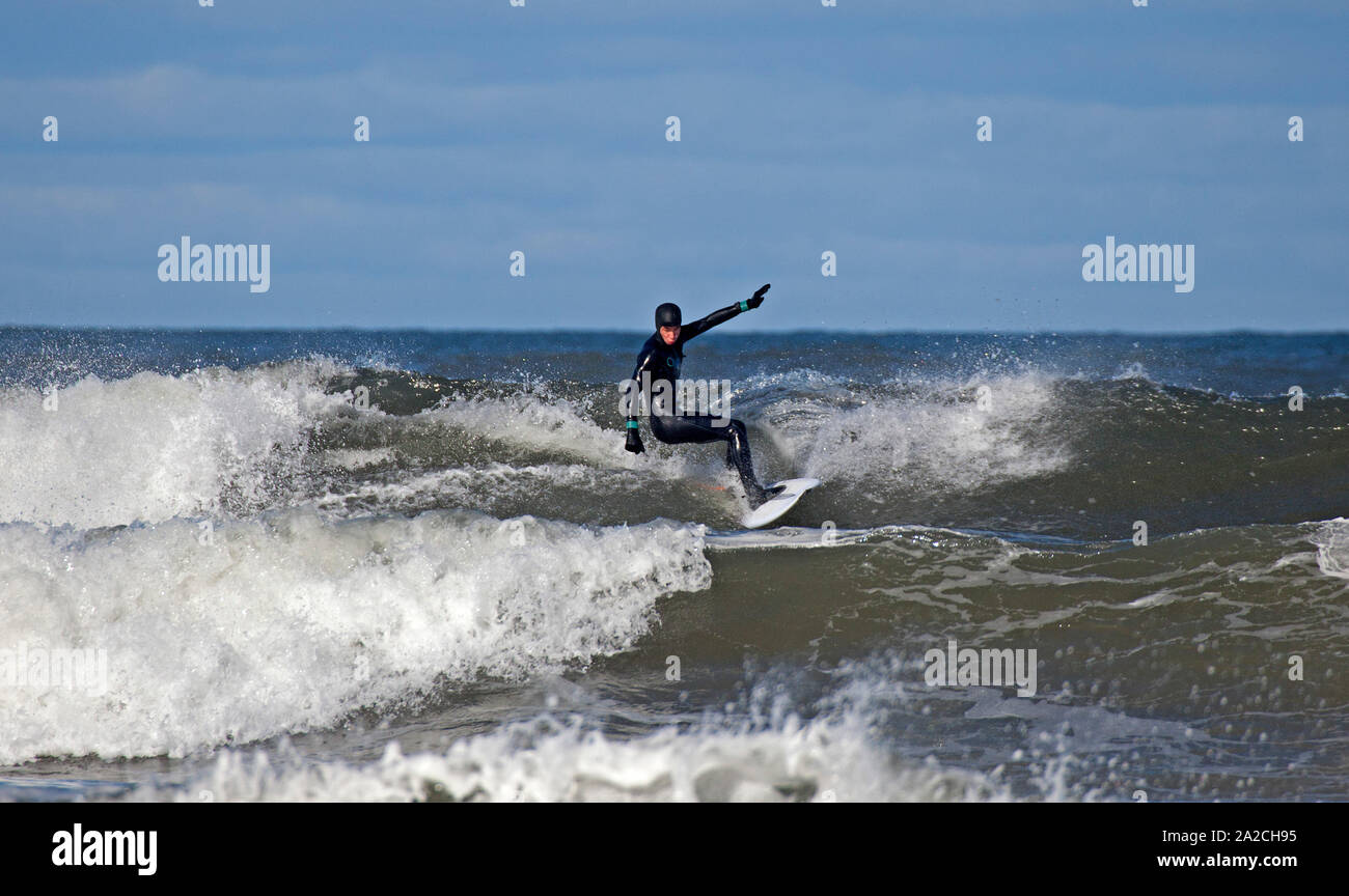 Belhaven Bay, Dunbar, Schottland, Großbritannien. Oktober 2019. Surfer reiten die Schulter hohe Wellen in Belhaven, 14 Grad Temperatur an Land und Wand zu Wand Sonnenschein. Stockfoto