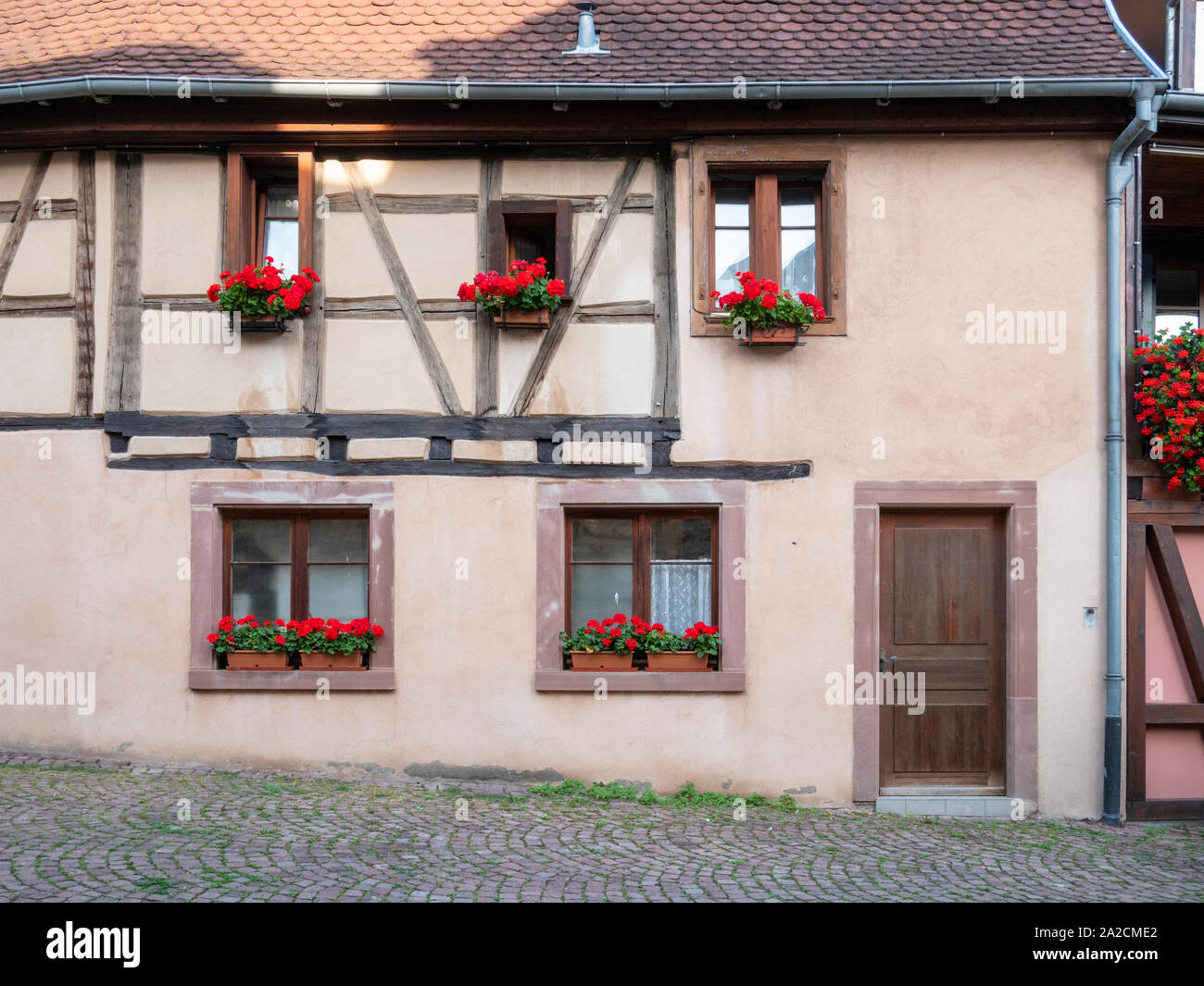 Fachwerkhaus Gebäude im Zentrum von Eguisheim Elsass Frankreich einer hübschen mittelalterlichen Stadt im Herzen des Elsass Wein Region und beliebte Reise dest Stockfoto