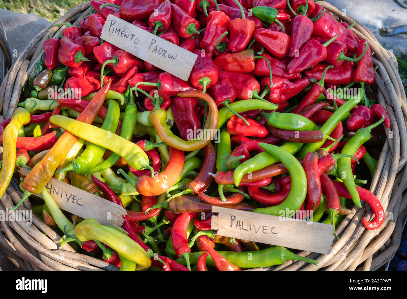 Chili peppers für Verkauf bei Daylesford Organic Farm Shop Herbstfest. Daylesford, Cotswolds, Gloucestershire, England Stockfoto