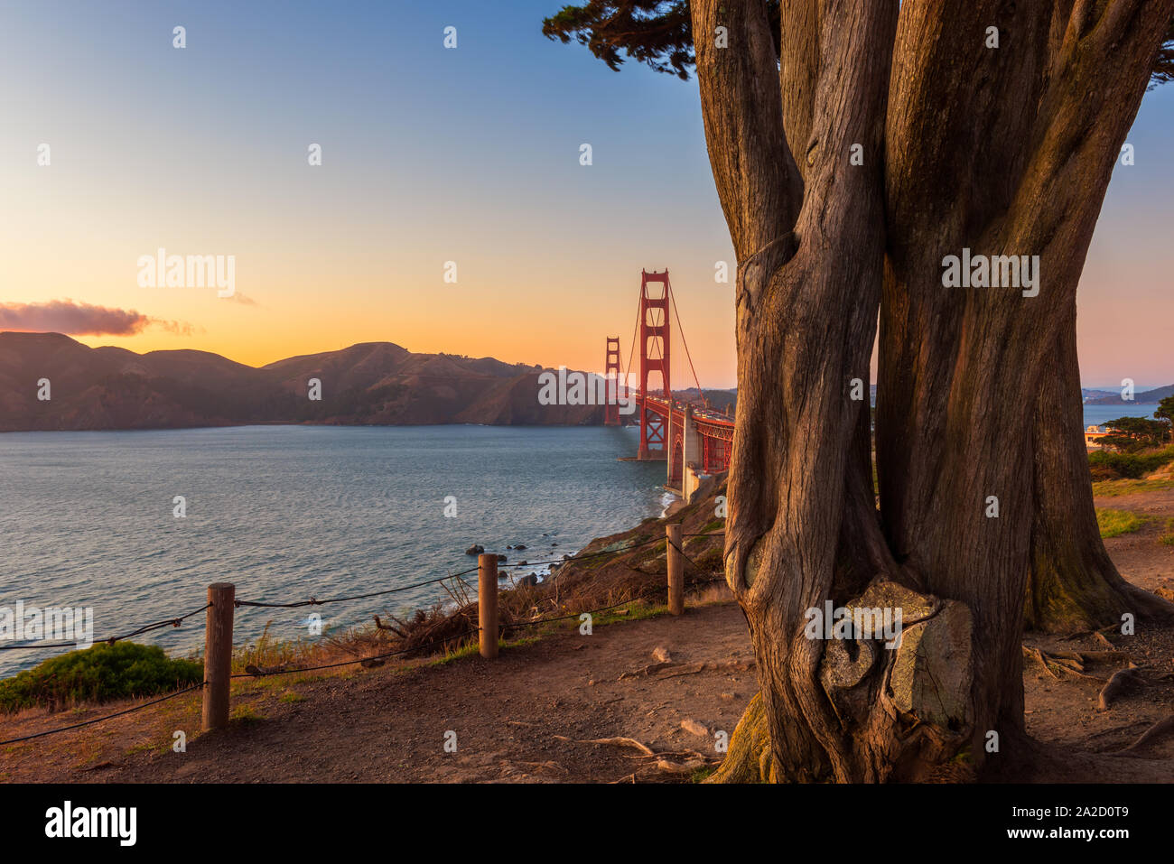 Golden Gate Bridge in San Francisco, Kalifornien, USA bei Sonnenuntergang, als von hinten einige Bäume in einem Park in der Nähe gesehen Stockfoto