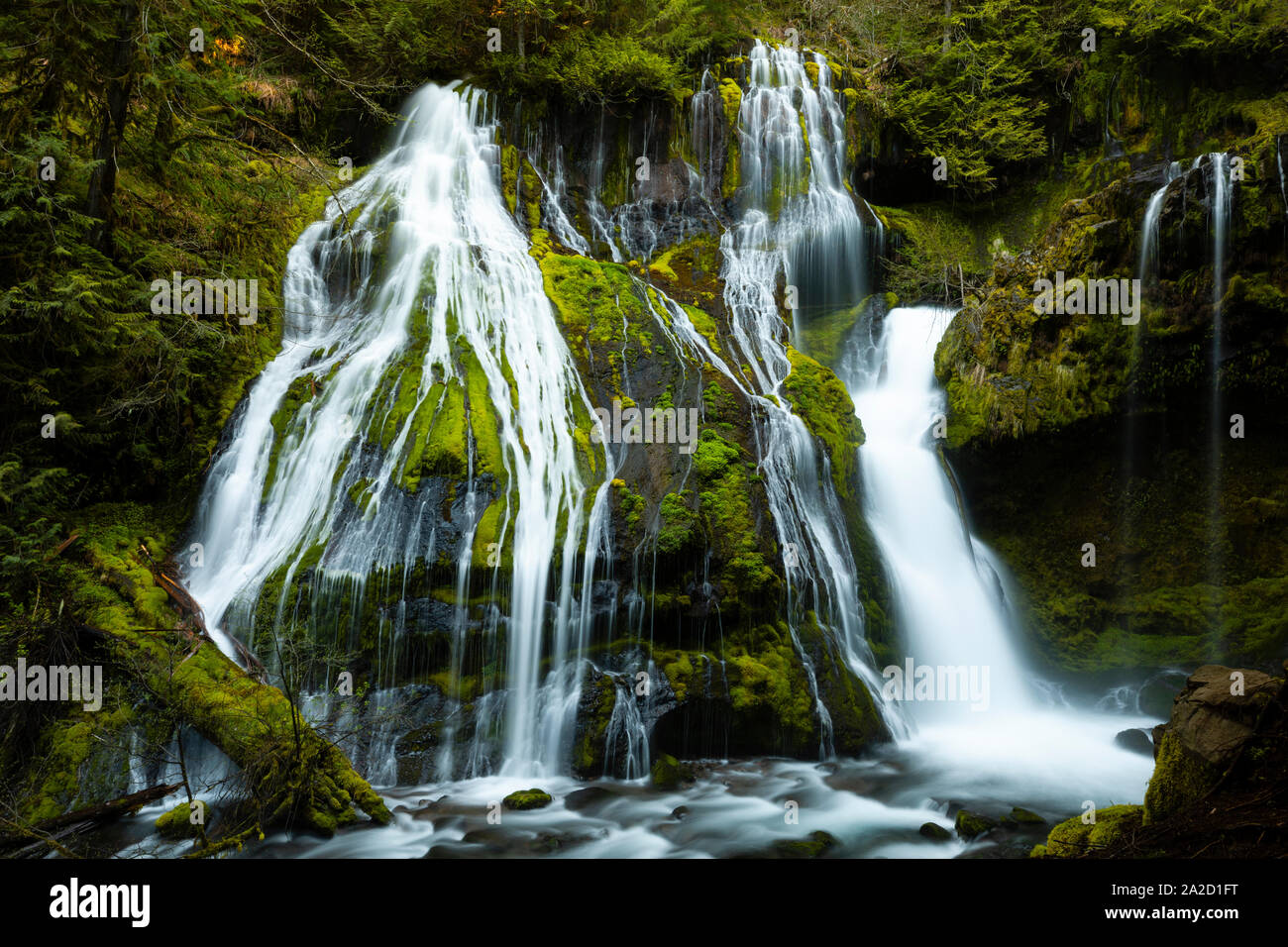 Blick auf Panther fällt, Skamania County, Washington, USA Stockfoto