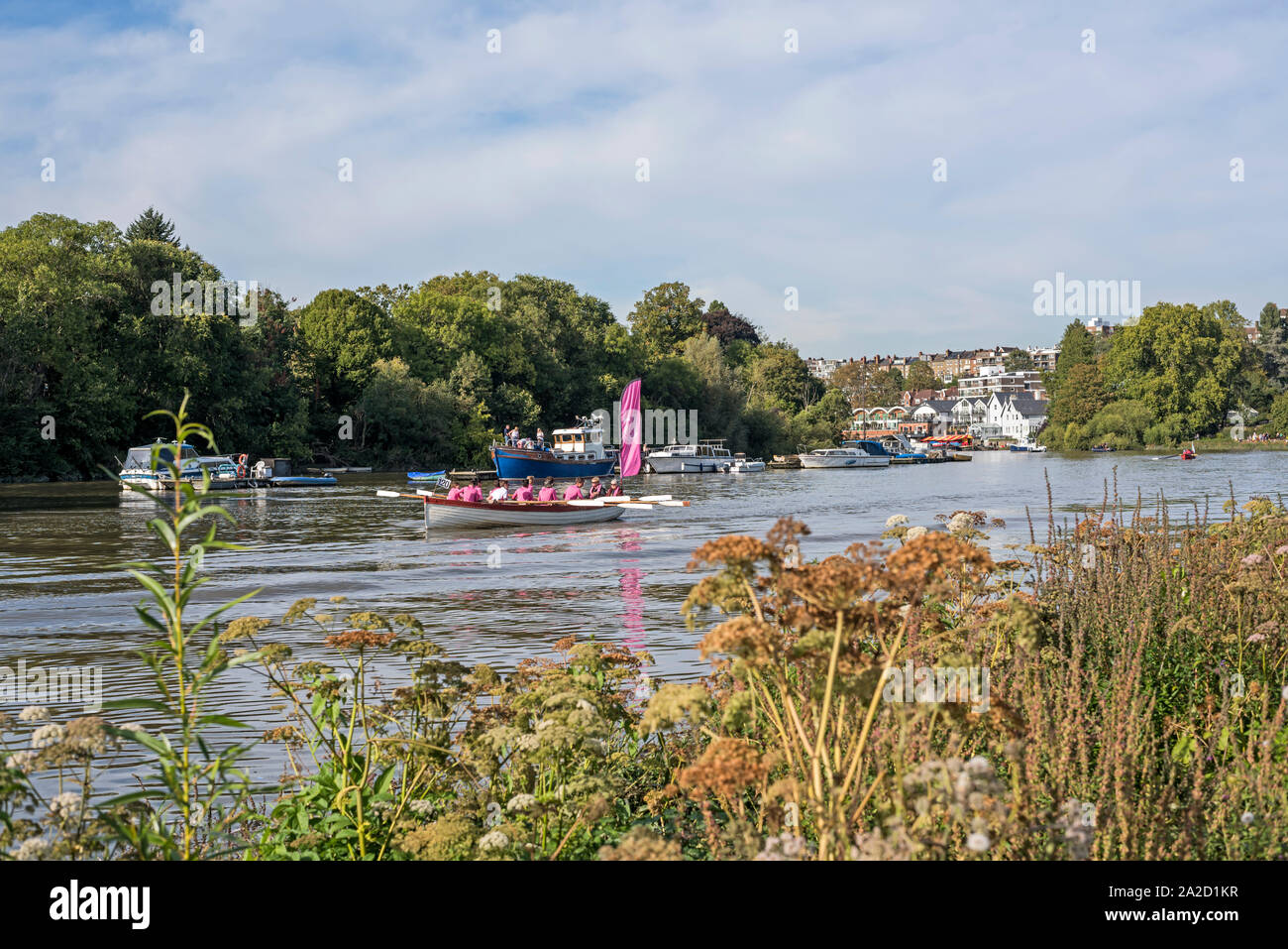 Die Ruderer in einem racing Skiff, skiffing auf der Themse während der Great River Race 2019 mit Richmond im Hintergrund. Stockfoto