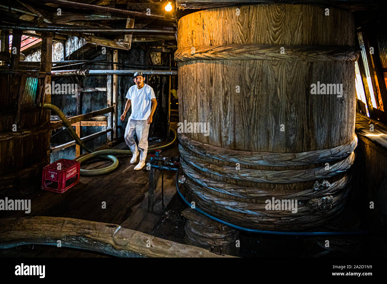 Herstellung von japanischer Sojasauce in 1872 Mejiiya Shoyu Manufaktur in Hamamatsu, Japan. In diesen imposanten Zedernfässern gärt Taru, Moromi je nach Qualität zwischen 1,5 und 3 Jahren. Handwerkliche Sojasauce, die mit Hilfe der Gärung hergestellt wird, schmeckt von Jahr zu Jahr und von Fass zu Fass anders Stockfoto