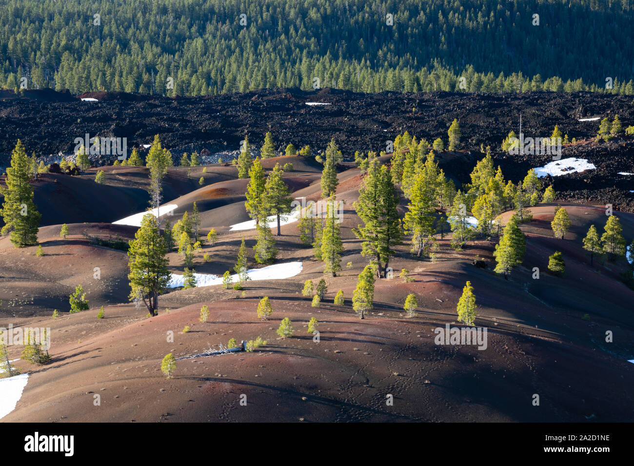 Blick auf hügeligem Gelände im Winter, Lassen Volcanic National Park, Kalifornien, USA Stockfoto