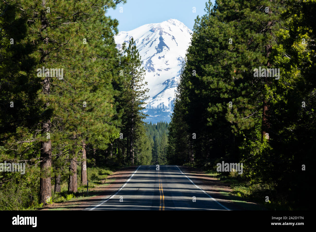 Leere Wald Autobahn Richtung schneebedeckten Mount Shasta Vulkan, Siskiyou County, Kalifornien, USA Stockfoto