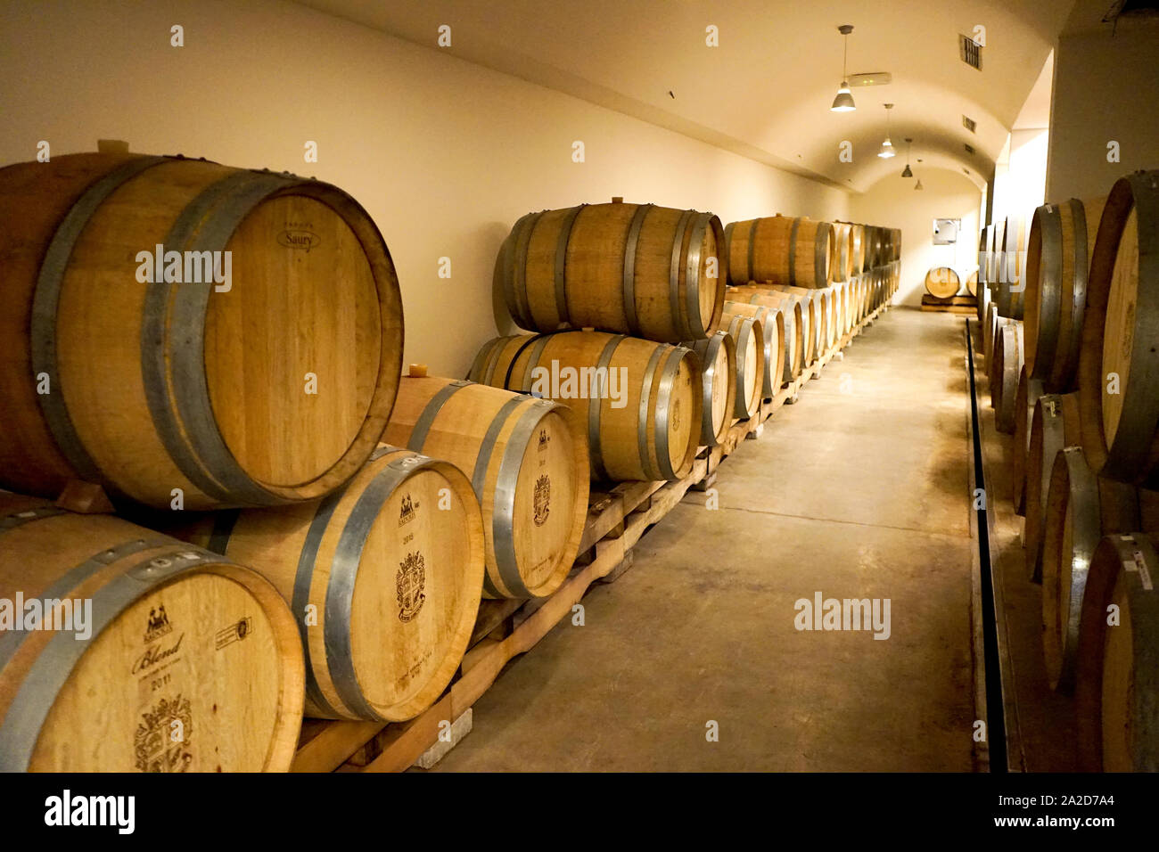 Weingut, Kroatien. Stockfoto