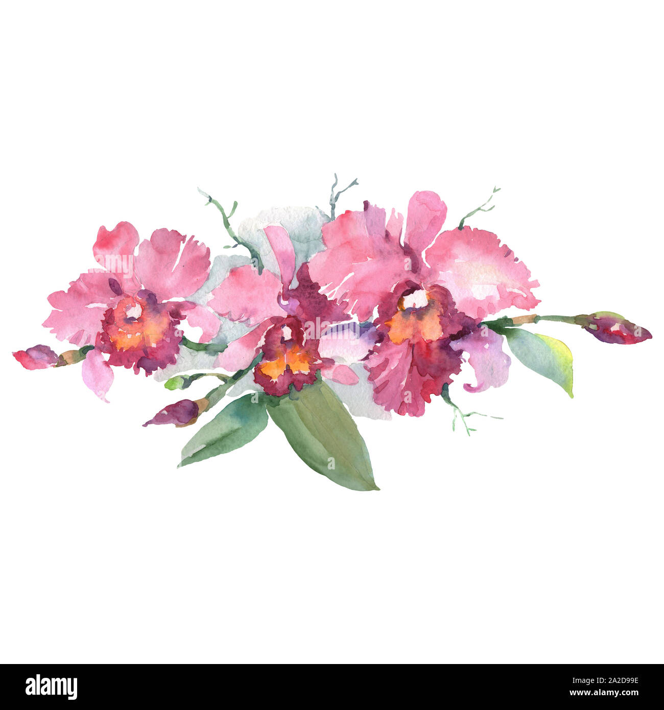 Zweig der rosa Orchideen Blumen botanischen Blumen. Aquarell Hintergrund gesetzt. Isolierte Blumensträuße Abbildung Element. Stockfoto