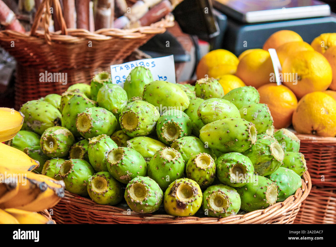 Grüne opuntia Früchte auf einem lokalen Markt in Funchal, Madeira, Portugal. Feigenkakteen und Indischen Feigen. Exotische Früchte, aufgewachsen auf Kakteen. Übersetzung DER ZEICHEN: Tabaibos - opuntia Früchte in Portugiesisch. Stockfoto