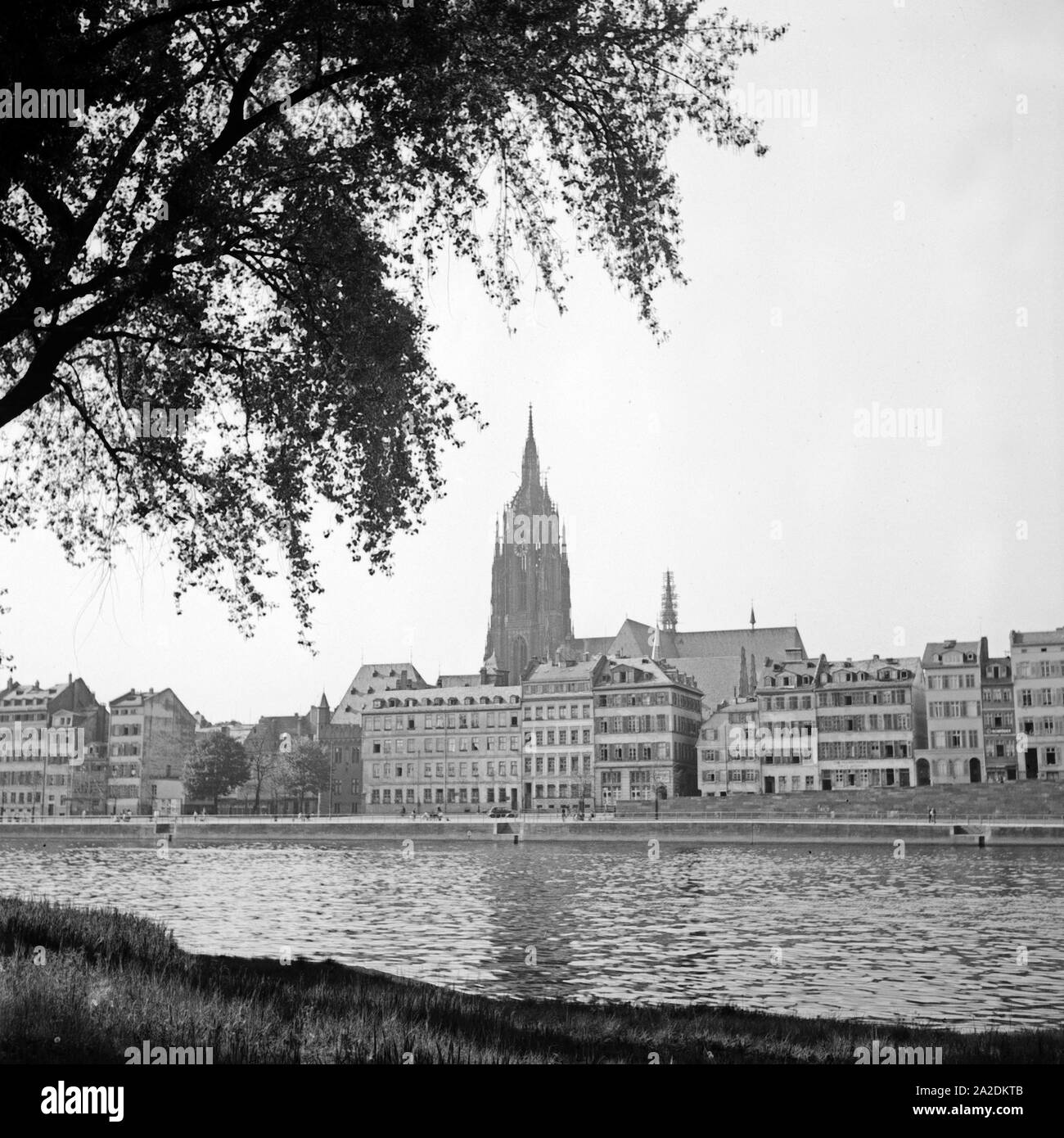 Stadtansicht mit dem Kaiserdom St. Bartholomäus und dem Mainufer in Frankfurt, Deutschland 1930er Jahre. Blick auf die Stadt Frankfurt mit Kathedrale und den Fluss Main, Deutschland 1930. Stockfoto