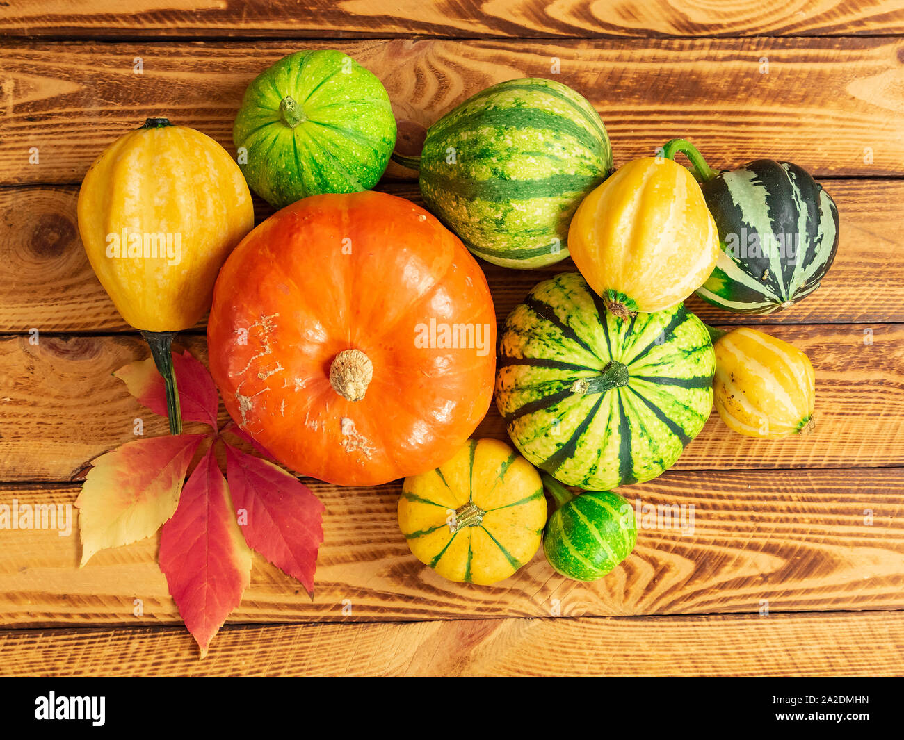 Herbst Kürbis Danksagung Hintergrund Konzept Stockfoto