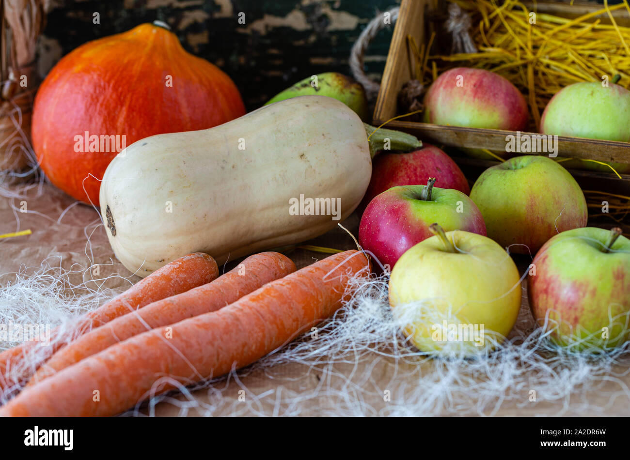 Bunte Kürbisse. Herbst Gemüse und Früchte. Farben des Herbstes. Kürbis Gerichte. Vegetarisches Essen. Lecker und gesund. Fleischloses Gericht. Stockfoto