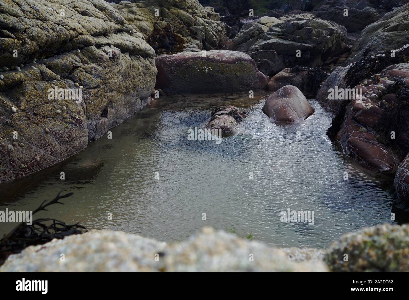 Rock Pool, schottischer Strand Stockfoto