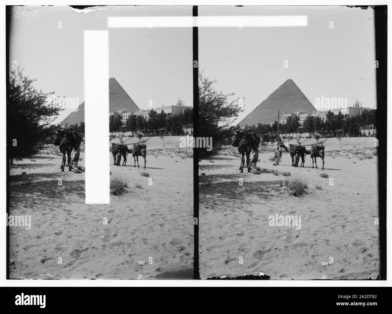 Ägyptische Ansichten; die Pyramiden von Gizeh. Mena House Hotel in Pyramiden Stockfoto