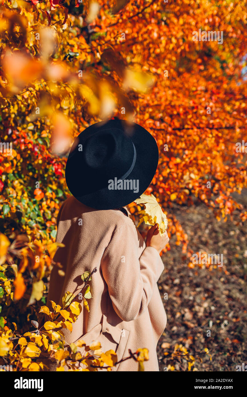 Herbst vibes. Junge Frau wandern im Herbst Wald unter fallenden Blätter.  Stilvolle Mädchen mit Hut und Holding verlässt Stockfotografie - Alamy