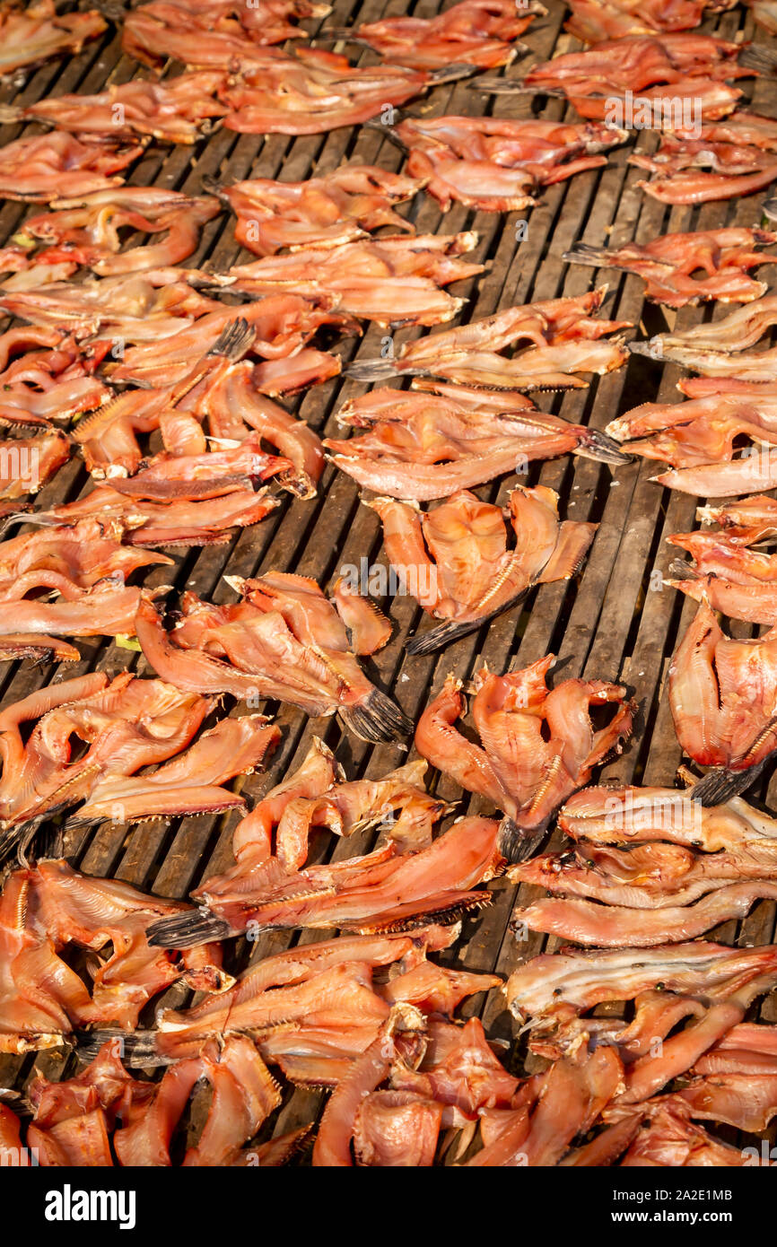 Fische trocknen auf der Straße in Asien Stockfoto
