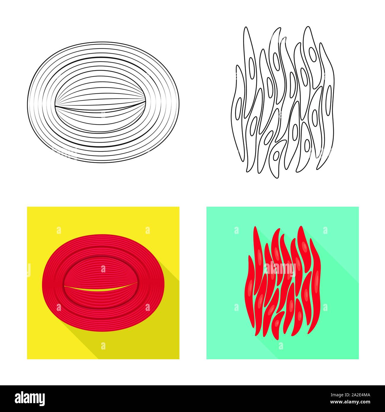 Vektor Design der Faser und muskulös. Satz von Faser- und Körper Symbol für das Web. Stock Vektor