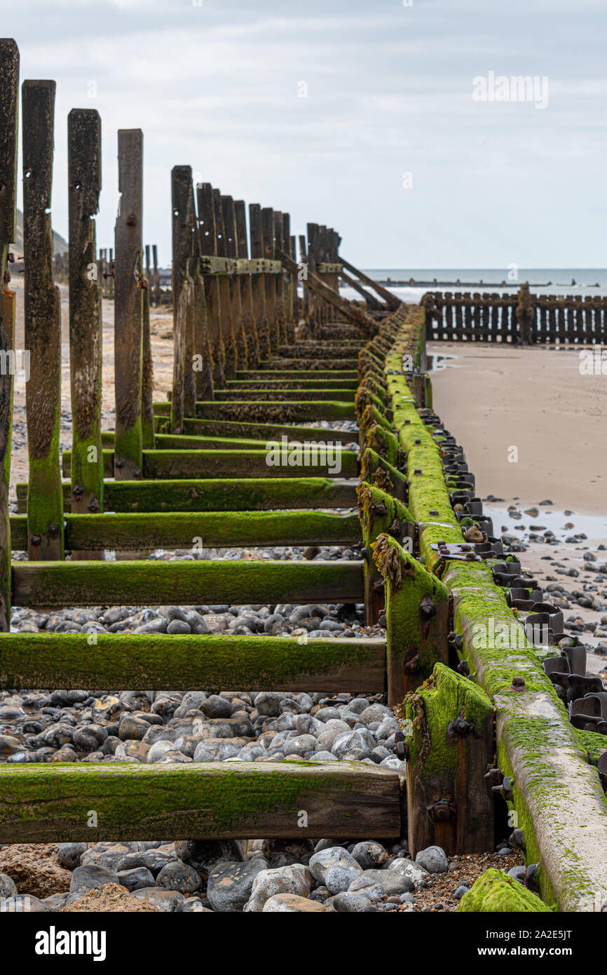 Bewaldeten meer Verteidigung zwischen West Runton und Sheringham Stockfoto