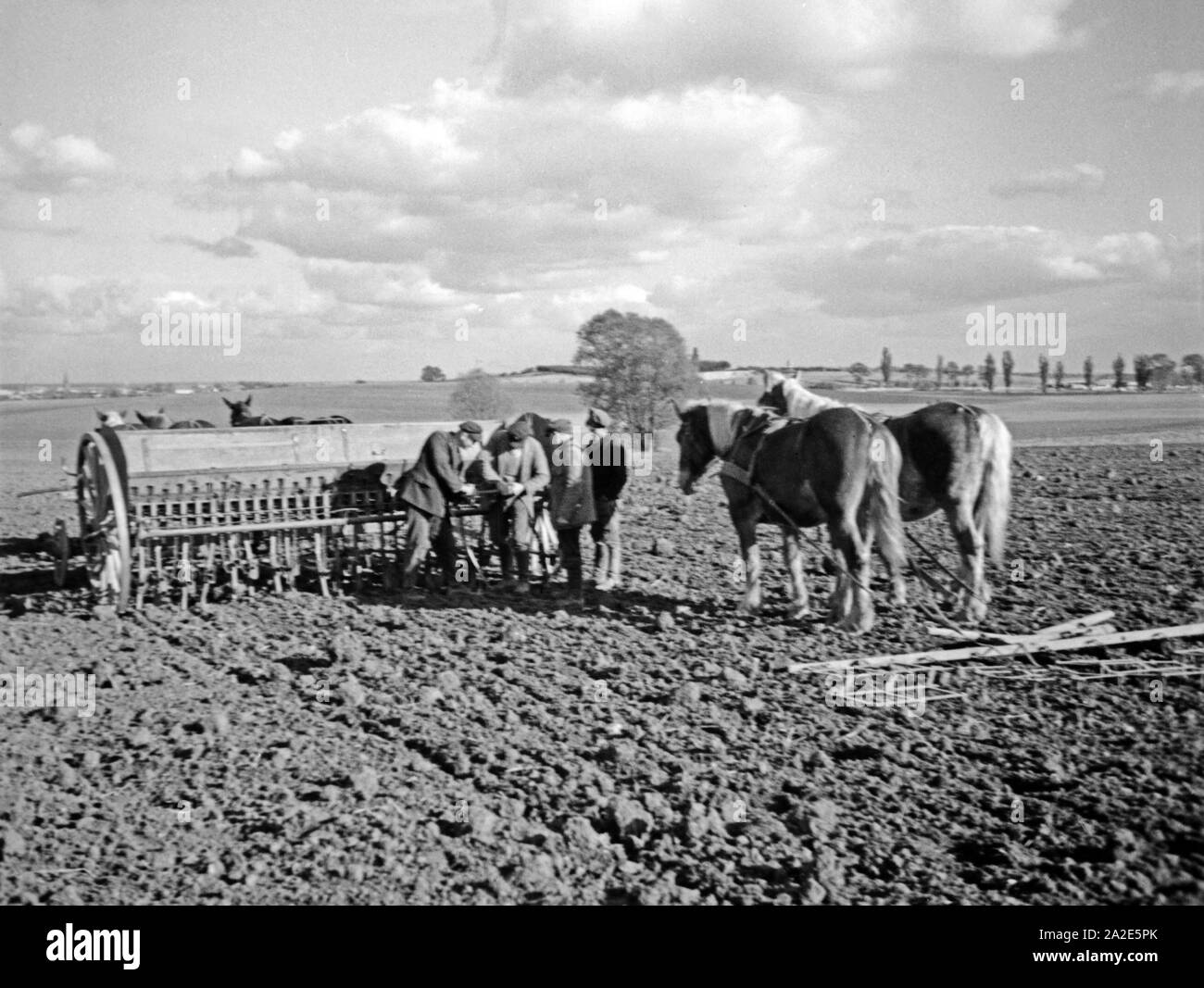 Bauern bei der Aussaat in Ostpreußen, 1930er Jahre. Landwirte, die Vorbereitung der diesjährigen Aussaat, Ostpreußen, 1930er Jahre. Stockfoto