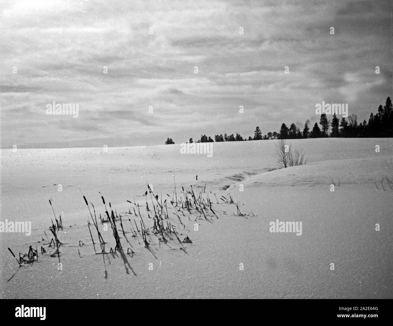 Winterlandschaft in Ostpreußen, 1930er Jahre. Winter Landschaft in Ostpreußen, 1930er Jahre. Stockfoto