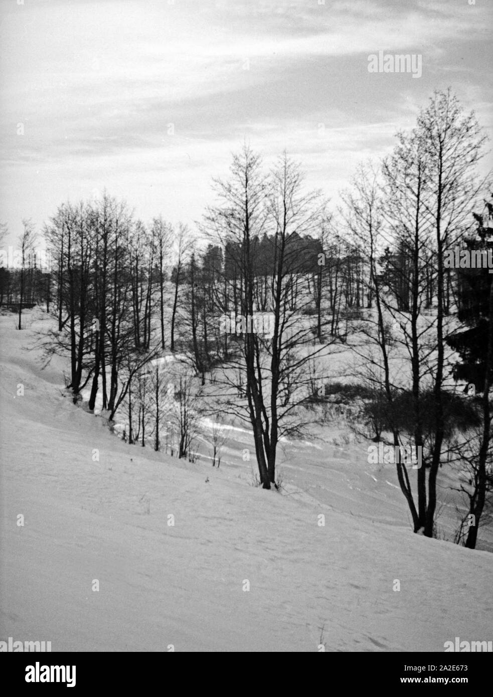 Winterlandschaft in Ostpreußen, 1930er Jahre. Winter Landschaft in Ostpreußen, 1930er Jahre. Stockfoto