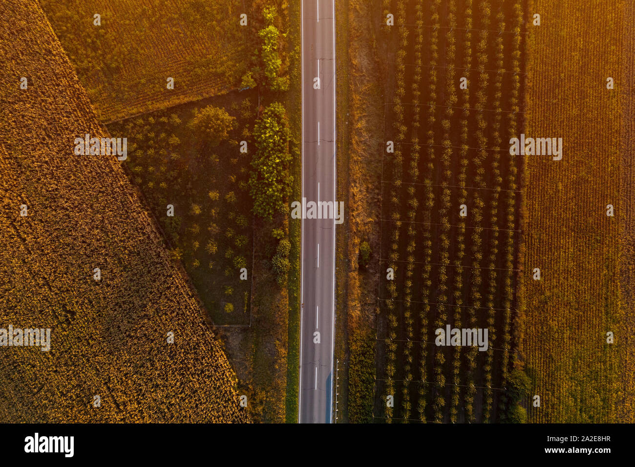 Leere Straße durch die Landschaft von Drone pov im sonnigen Herbstnachmittag Stockfoto