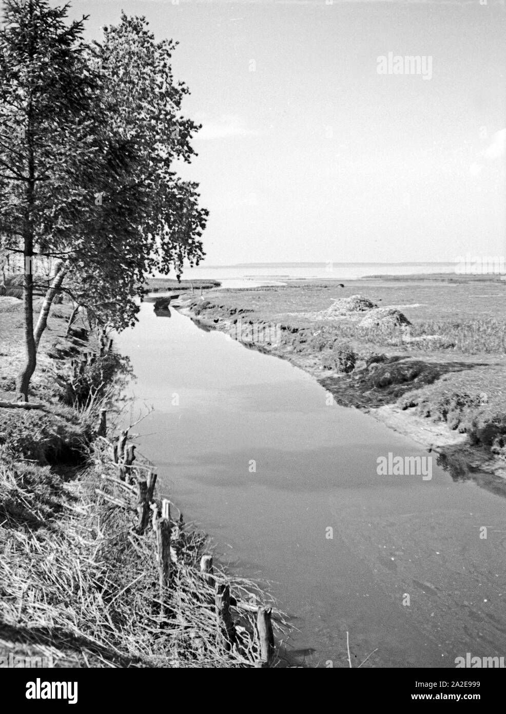 Bächlein mit Haff östlich von Petersort in Ostpreußen, 1930er Jahre. Bach und Frischen Haff in der Nähe von Petersort, Ostpreußen, 1930er Jahre. Stockfoto