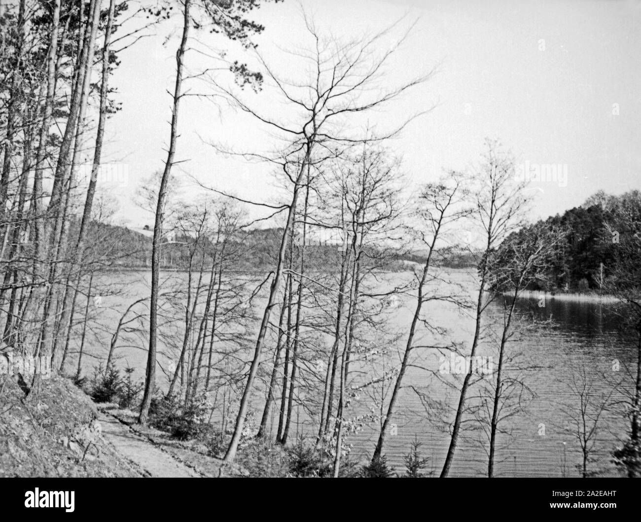 Seenlandschaft nordwestlich von Treuburg in Masuren, Ostpreußen, 1930er Jahre. See Landschaft im Nordwesten von Treuburg in Masuren, Ostpreußen, 1930er Jahre. Stockfoto