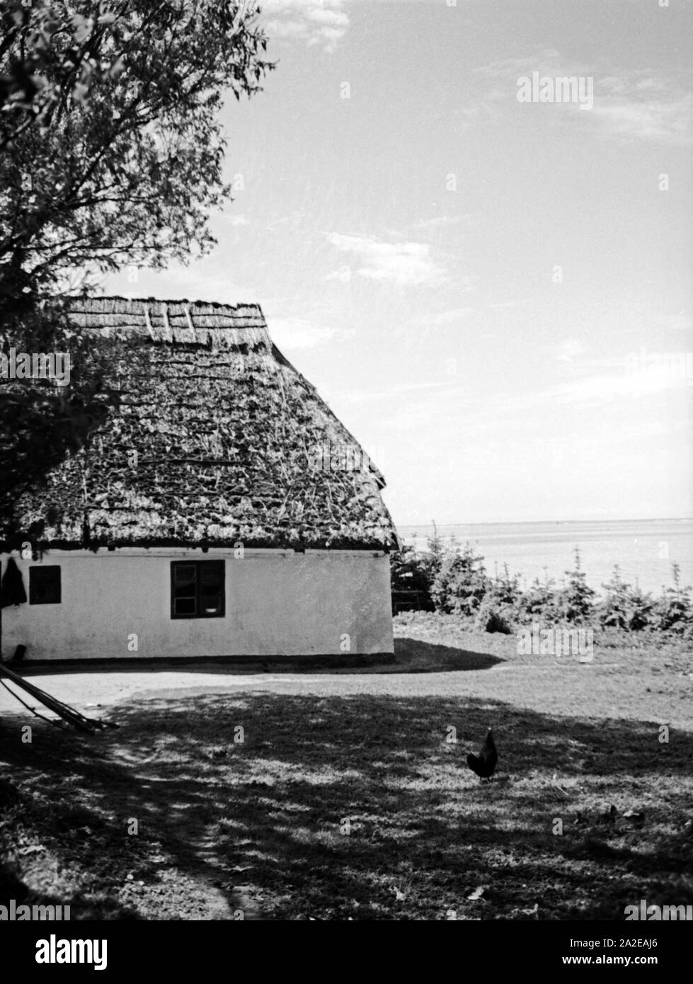 Ein altes Bauernhaus ein einem der zahlreichen Gesehen in Ostpreußen, 1930er Jahre. Ein altes Bauernhaus in der Nähe von einem der unzähligen Seen in Ostpreußen, 1930er Jahre. Stockfoto