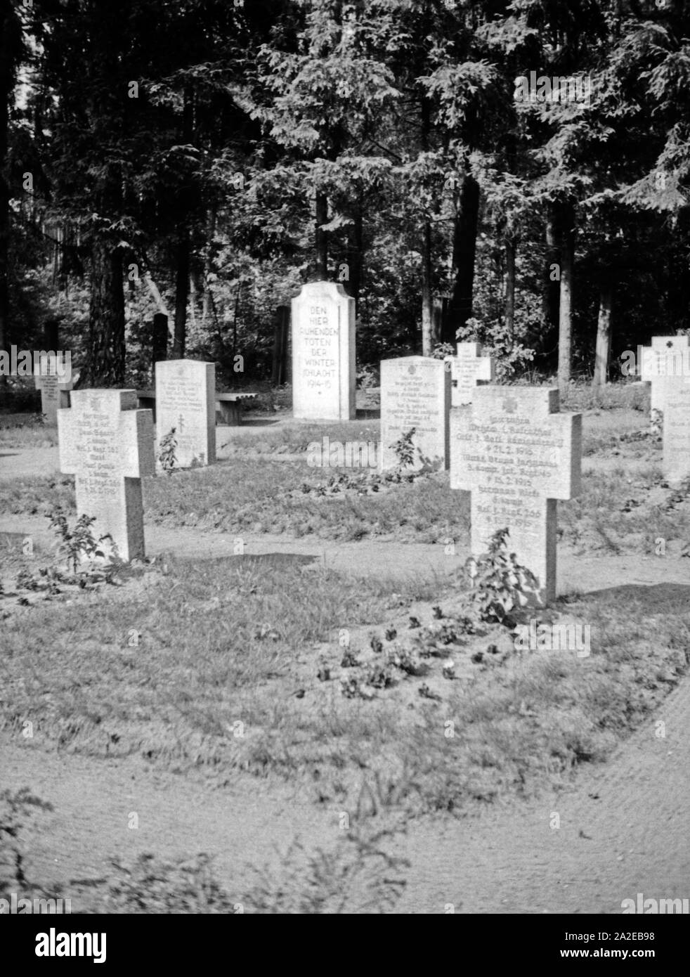 Kriegsgräber gefallener Soldaten des 1. Weltkriegs in Niedersee in Masuren, Ostpreußen, 1930er Jahre. Soldatenfriedhof für die Soldaten des Ersten Weltkriegs am Niedersee in Masuren, Ostpreußen, 1930er Jahre. Stockfoto