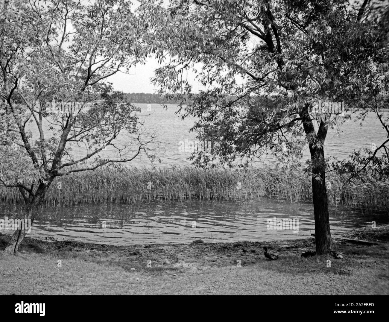 Seenlandschaft in Masuren, westlich von Lötzen, Ostpreußen, 1930er Jahre. See Landschaft der Seenlandschaft in Masuren, westlich von Lötzen, Ostpreußen, 1930er Jahre. See Landschaft der