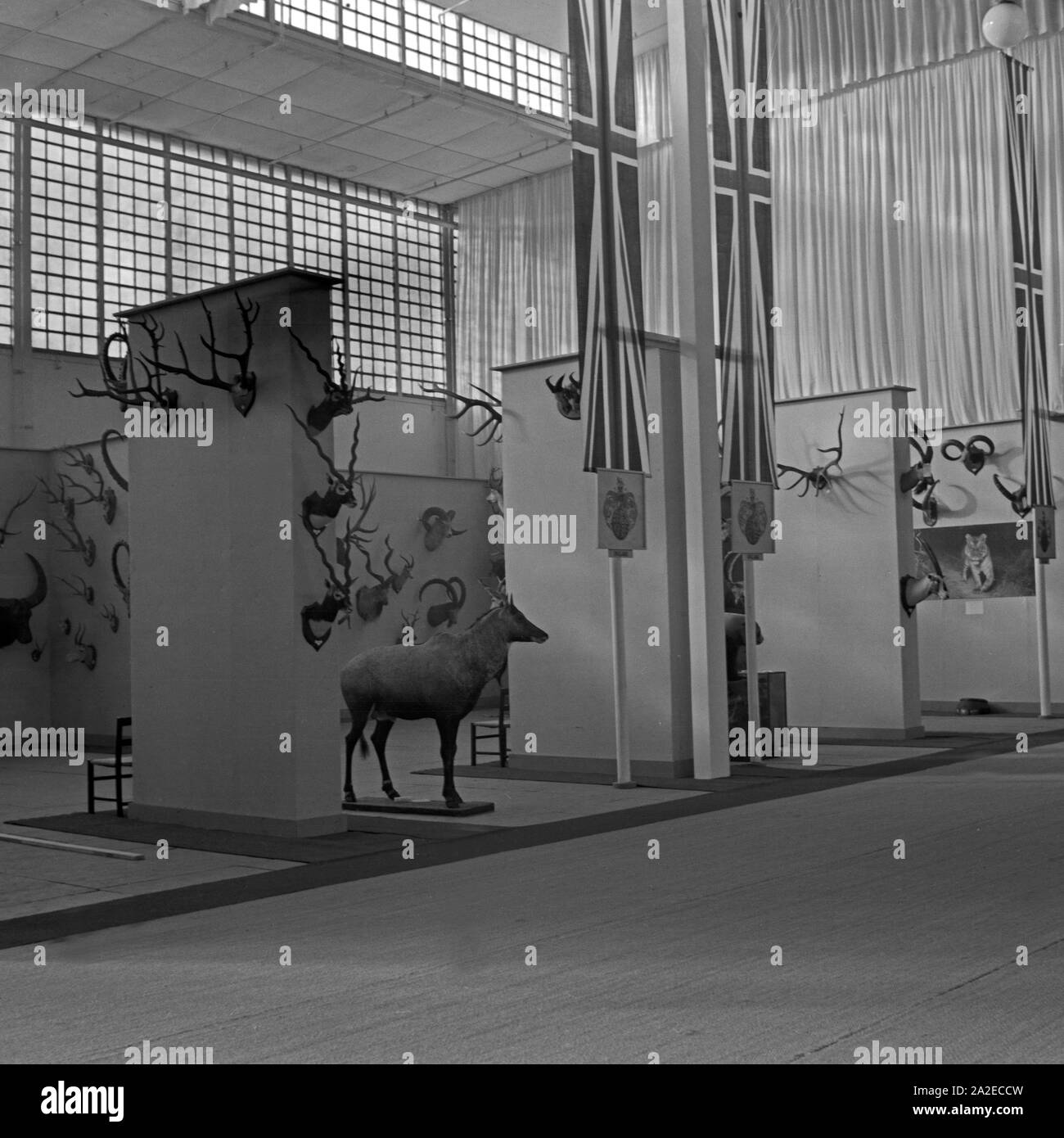 International Hunting Exhibition Stockfotos Und Bilder Kaufen Alamy