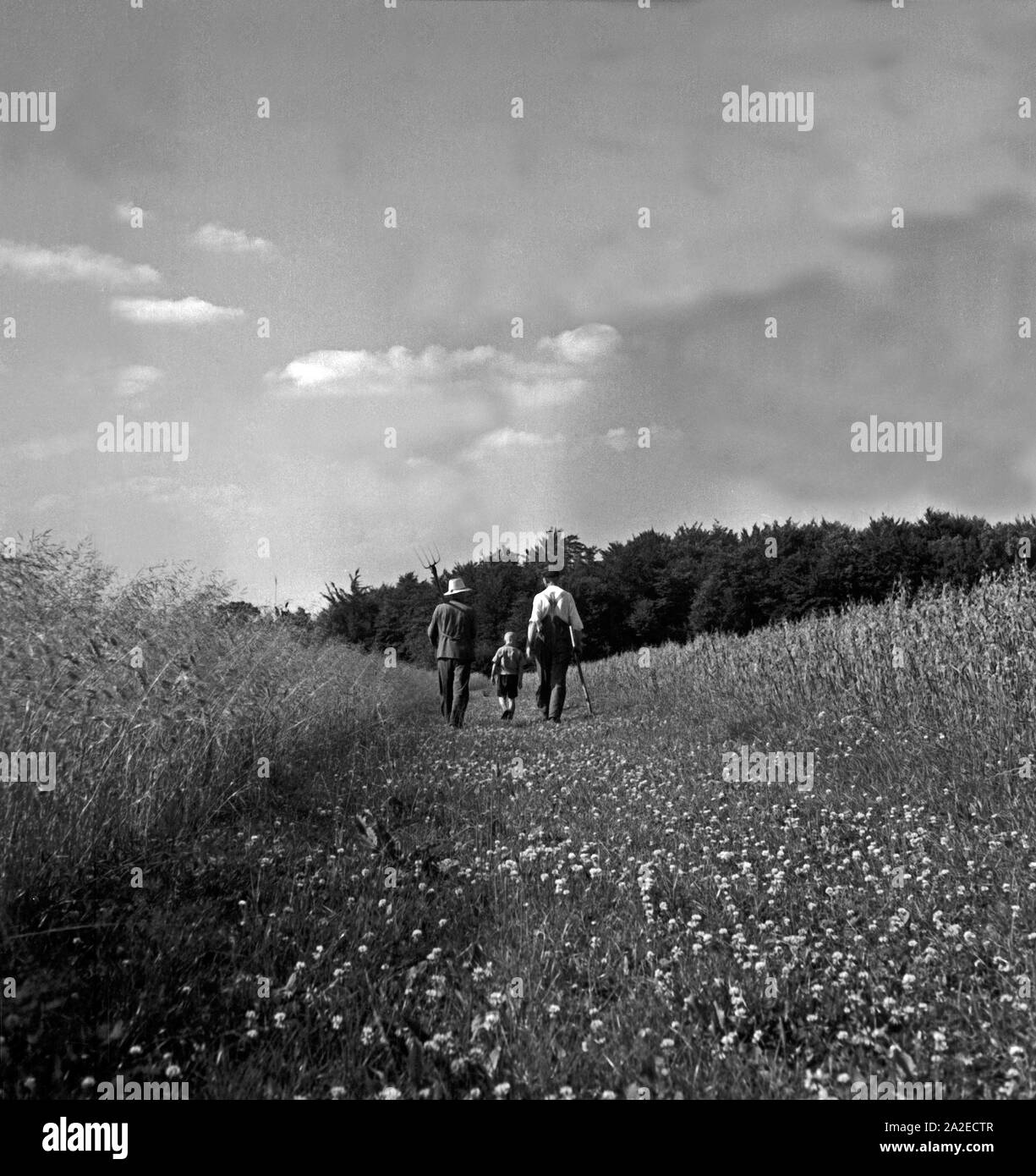 Eine Bauernfamilie in Westfalen auf dem Heimweg von der Feldarbeit, Deutschland 1930er Jahre. Ein Bauer Familie in Westfalen auf dem Weg zurück nach Hause von den Feldern, Deutschland 1930. Stockfoto