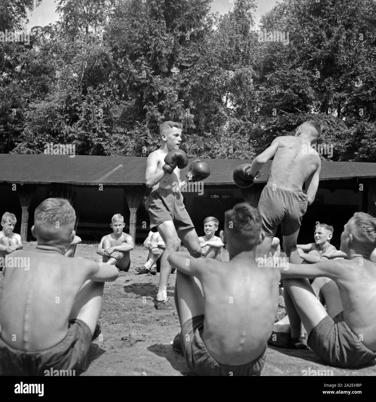 Jungen vom Landjahr Lager Sterben in Bevensen beim Boxsport, Deutschland 1930er Jahre. Die jungen der Hitlerjugend camp in Bevensen dabei einige Sparring, Deutschland 1930. Stockfoto