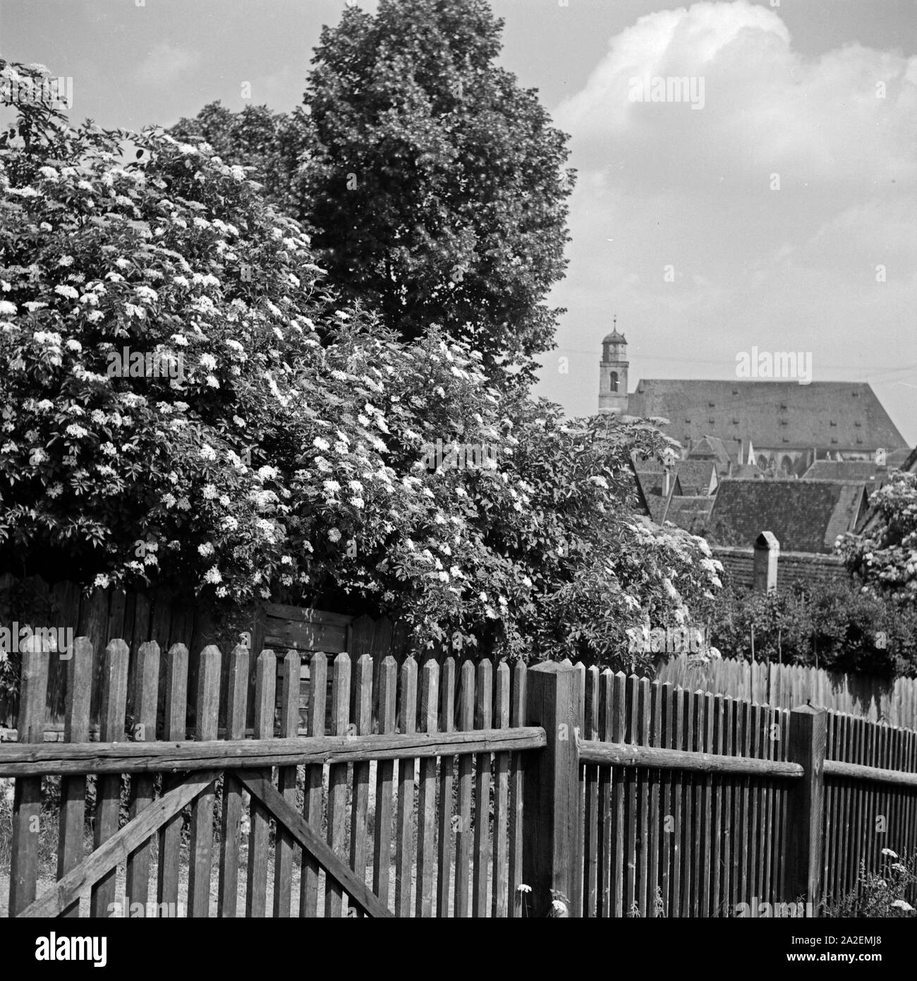 Blick über einen Zaun zur katholischen Stadtpfarrkirche St. Georg in Dinkelsbühl, Deutschland 1930er Jahre. Blick auf die Kirche Die Römisch-katholische St. George's in Dinkelsbühl, Deutschland 1930. Stockfoto