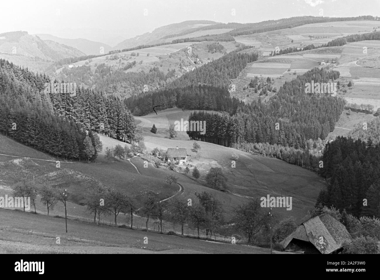 Idyllisches Schwarzwaldpanorama, 1930er Jahre Deutschland. Idyllischer Panoramablick im Schwarzwald, Deutschland der 1930er Jahre. Stockfoto