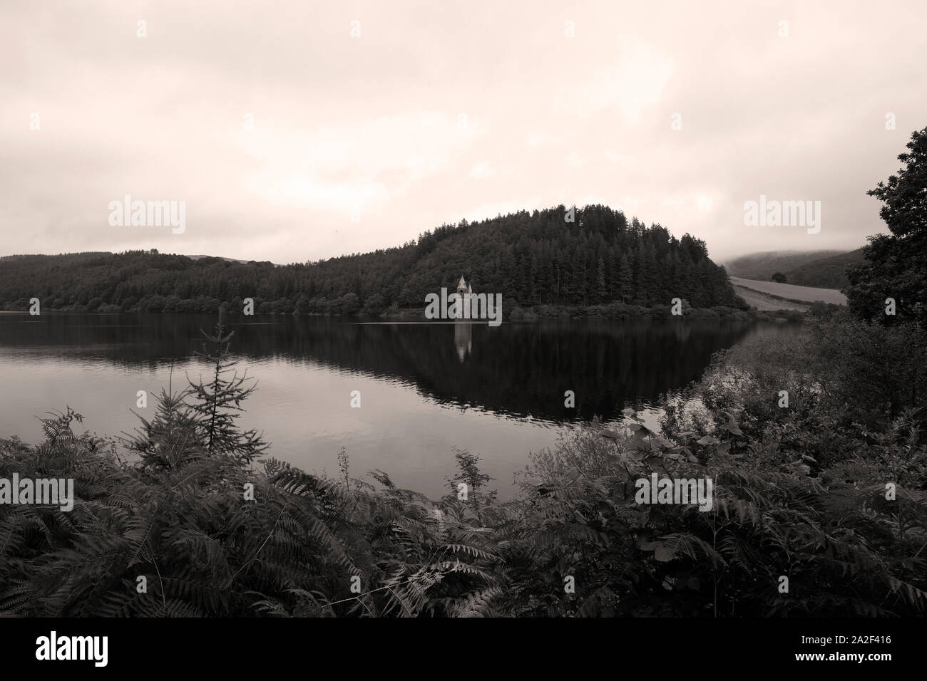 Einen Blick über Lake Vyrnwy in Richtung der Viktorianischen belasten Turm auf einem ruhigen noch Morgen bedeckt grauer Himmel Reflexionen von Kiefernwald auf Wasser Stockfoto