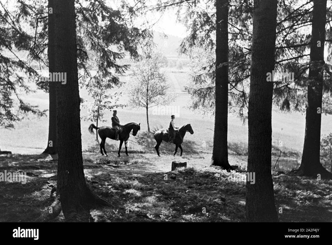 Reiter bei einem Reitausflug im Wald bei Freudenstadt, Deutschland 1930er Jahre. Reiter auf einem Pferd reiten Reise in den Wäldern in der Nähe von Freudenstadt, Deutschland 1930. Stockfoto