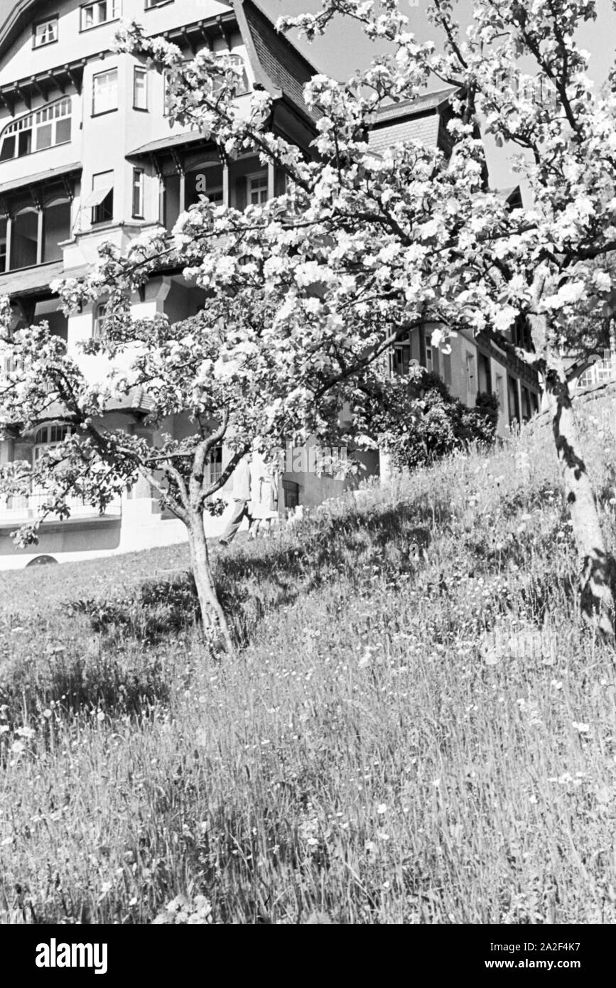 Entspannung im sonnigen Garten, Freudenstadt, Deutschland 1930er Jahre. Entspannung im sonnigen Garten, Freudenstadt, Deutschland 1930. Stockfoto