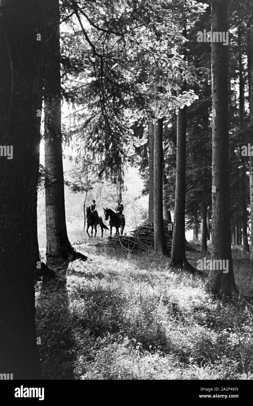 Reiter bei einem Reitausflug im Wald bei Freudenstadt, Deutschland 1930er Jahre. Reiter auf einem Pferd reiten Reise in den Wäldern in der Nähe von Freudenstadt, Deutschland 1930. Stockfoto