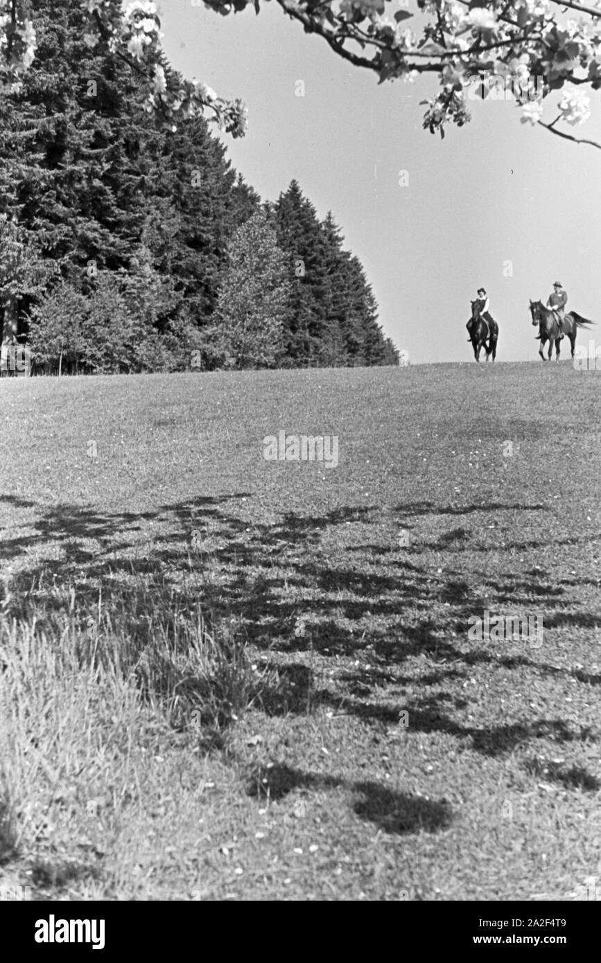 Reiter bei einem Reitausflug im Wald bei Freudenstadt, Deutschland 1930er Jahre. Reiter auf einem Pferd reiten Reise in den Wäldern in der Nähe von Freudenstadt, Deutschland 1930. Stockfoto