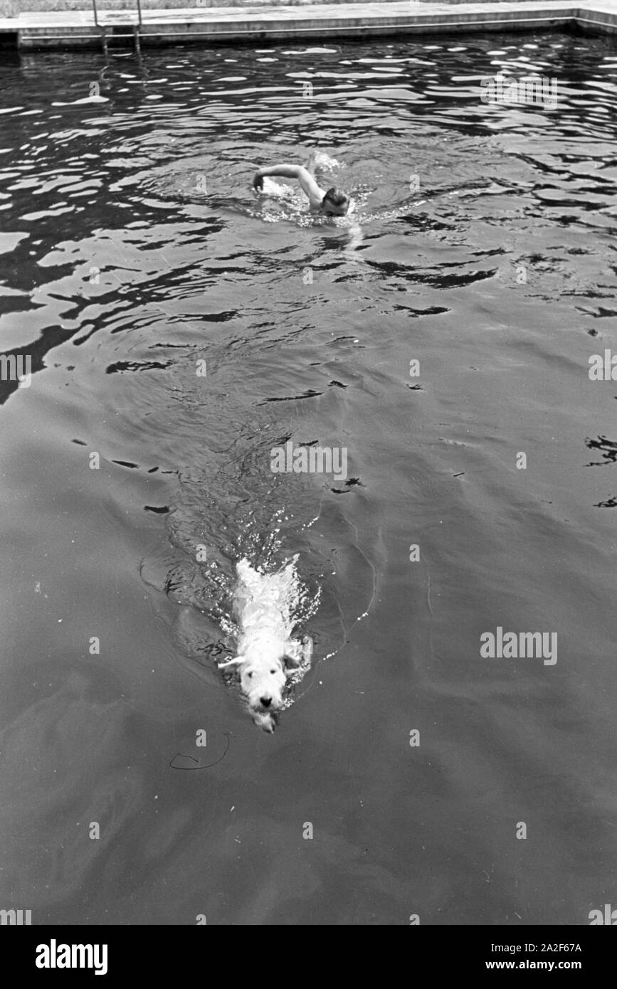 Im Schwimmbad Im Luftkurort Altensteig Im Schwarzwald, Deutschland, 1930er Jahre. Im Schwimmbad in der Luftkurort Altensteig im Schwarzwald, Deutschland der 1930er Jahre. Stockfoto