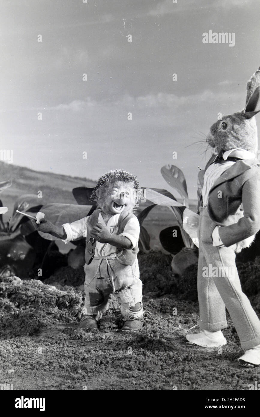 Filmaufnahmen mit dem Satz vom Puppenfilm "Der Wettlauf zwischen dem Hasen und dem Igel mit der Figur Mecki, unter der Produktion und Leitung der Gebrüder Diehl, Deutschland 1930er Jahre. Die Dreharbeiten zu dem Satz der Marionette Film Der Hase und der Igel mit der Charakter Mecki, produziert und durch die Diehl Brüder geleitet, Deutschland 1930. Stockfoto