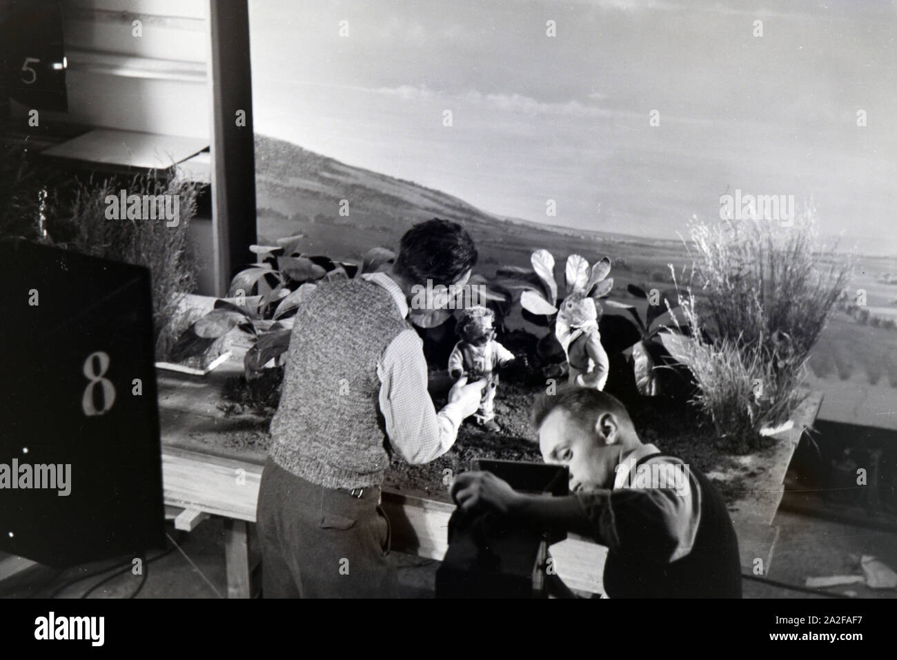 Filmaufnahmen mit dem Satz vom Puppenfilm "Der Wettlauf zwischen dem Hasen und dem Igel mit der Figur Mecki, unter der Produktion und Leitung der Gebrüder Diehl, Deutschland 1930er Jahre. Die Dreharbeiten zu dem Satz der Marionette Film Der Hase und der Igel mit der Charakter Mecki, produziert und durch die Diehl Brüder geleitet, Deutschland 1930. Stockfoto