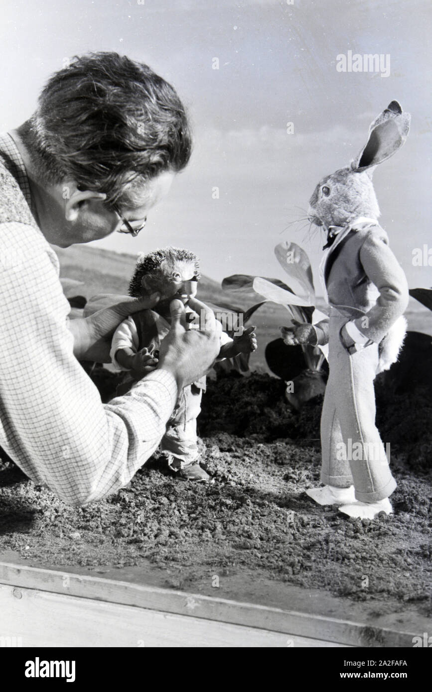 Filmaufnahmen mit dem Satz vom Puppenfilm "Der Wettlauf zwischen dem Hasen und dem Igel mit der Figur Mecki, unter der Produktion und Leitung der Gebrüder Diehl, Deutschland 1930er Jahre. Die Dreharbeiten zu dem Satz der Marionette Film Der Hase und der Igel mit der Charakter Mecki, produziert und durch die Diehl Brüder geleitet, Deutschland 1930. Stockfoto